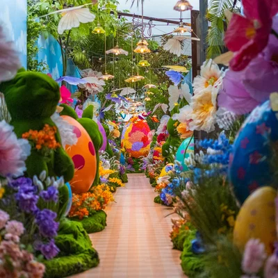 The Grounds of Alexandria